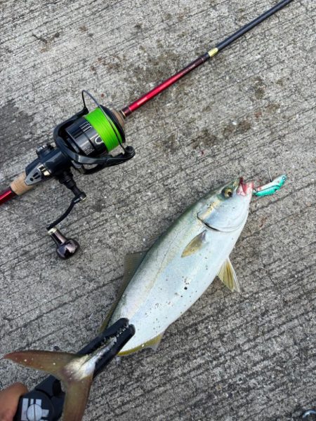 イカ1時間青物1時間その後はポツポツ