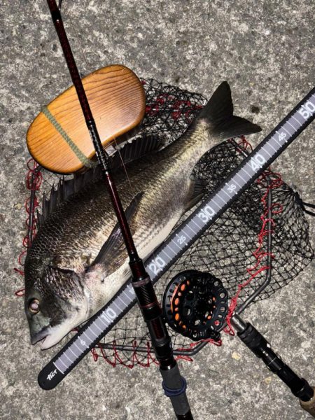 ヘチってきました