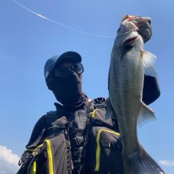 デイゲームシーバスへ