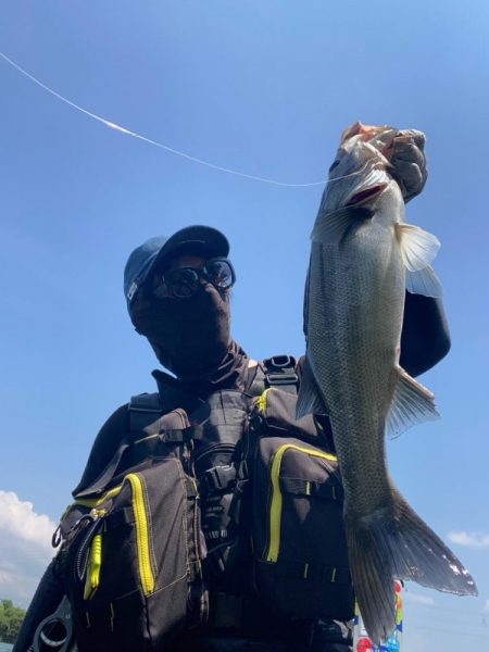 デイゲームシーバスへ