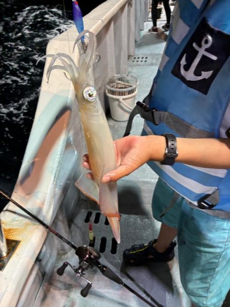 第2回イカメタル