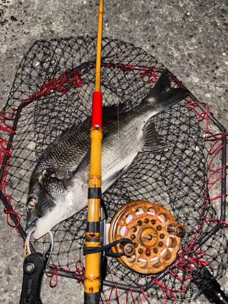 ヘチってきました