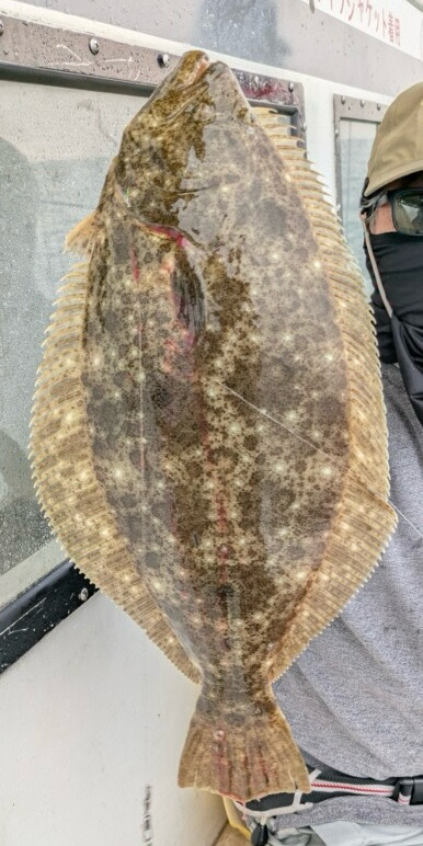 ライト落とし込み釣り