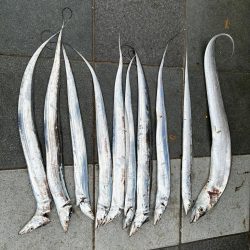 久しぶりの釣り〜