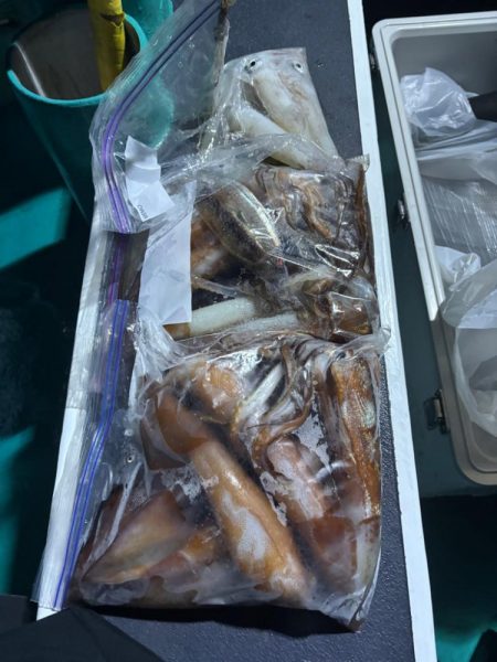 和歌山イカメタル