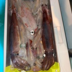 イカメタル5回目初大剣‼️