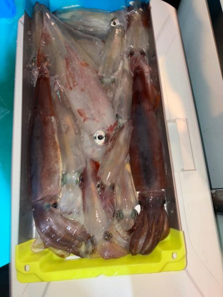 イカメタル5回目初大剣‼️