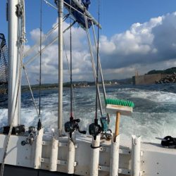 今期ラスト釣行