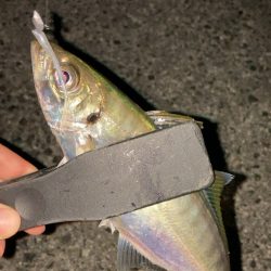 夜の深い時間に