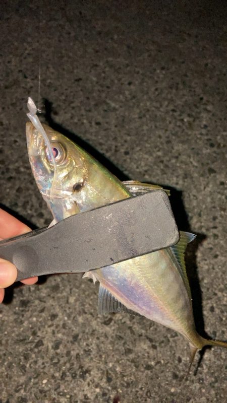 夜の深い時間に