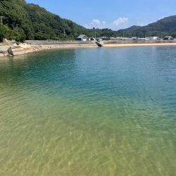 何故かサイズ小さい………