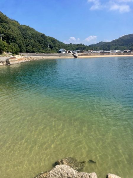 何故かサイズ小さい………