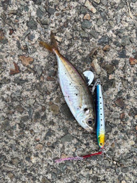 ジグサビキ　20