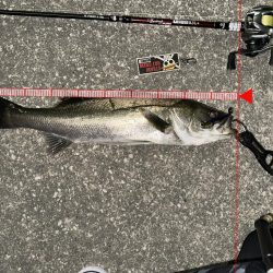 また引き出しが増えた釣果！