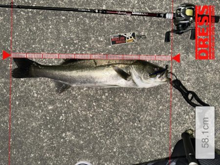 また引き出しが増えた釣果！