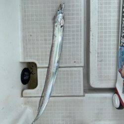 神戸沖でメーターオーバーGET