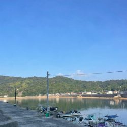 小さいけど　秋イカ開幕？