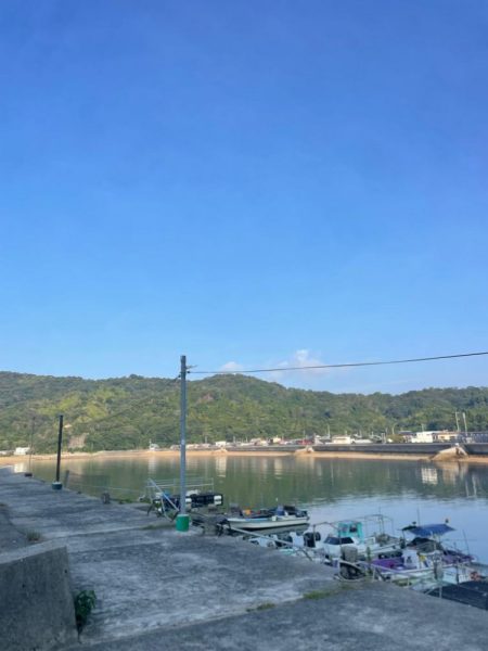 小さいけど　秋イカ開幕？