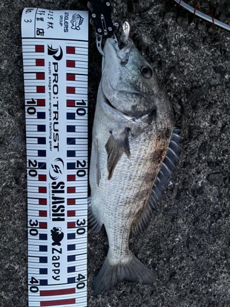 なんとか一本！