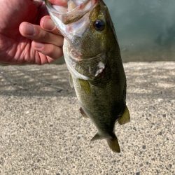 真夏の昼間でも