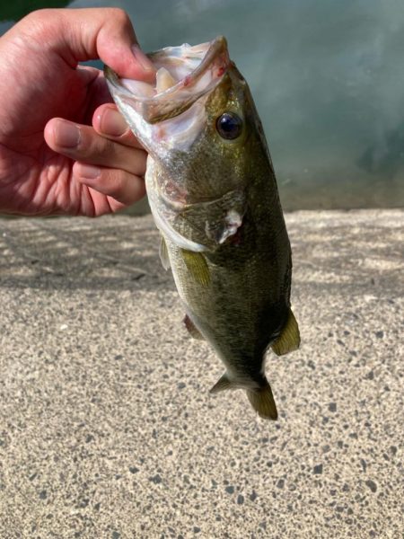 真夏の昼間でも