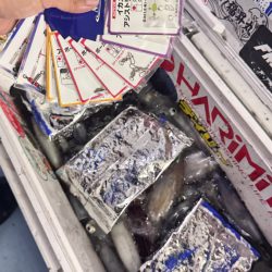 ケンサキイカ/イカメタル・オモリグ