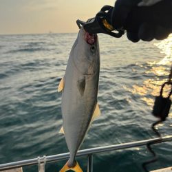 明石ジギング　夏編