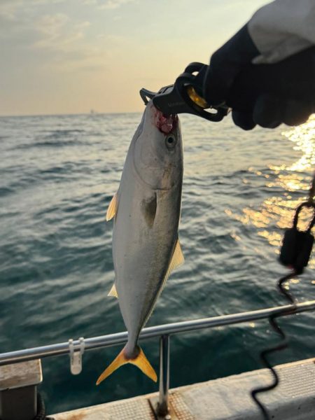 明石ジギング　夏編