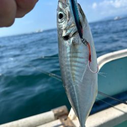 久しぶりの須磨沖釣行！