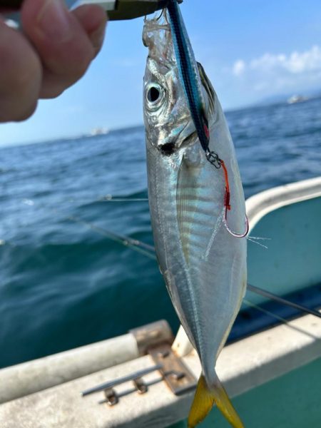 久しぶりの須磨沖釣行！
