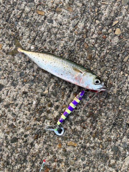 ジグサビキ　18