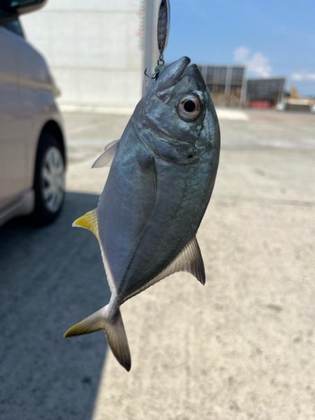 海はさっぱり釣れません。