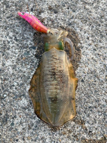 ロック&ベイビー