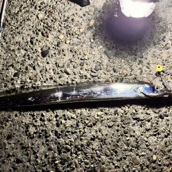 時合い短し。ギリF3