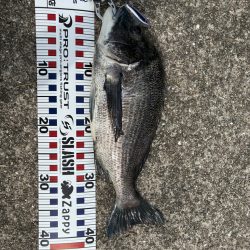 やっぱりチュパゾーいいね!