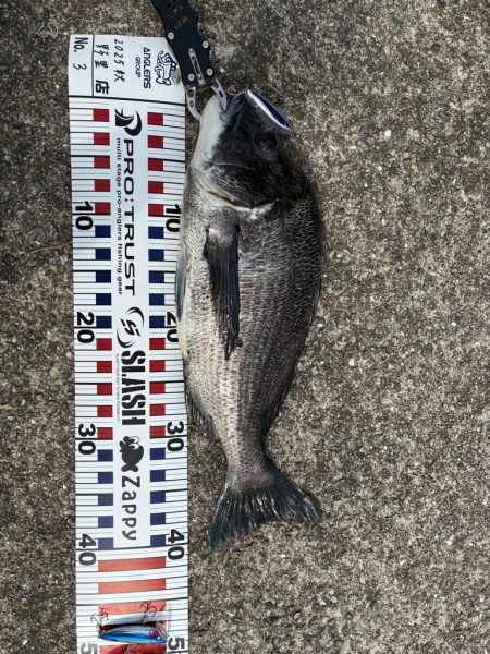 やっぱりチュパゾーいいね!