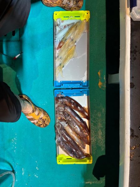 4回目イカメタル