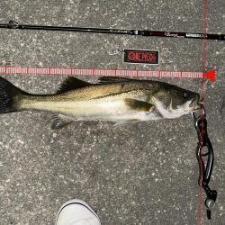 ボトムネチリンコが正義！