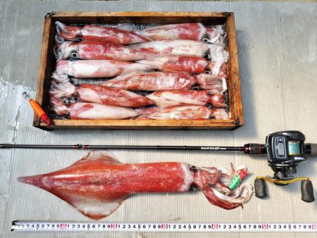 イカメタル釣り！