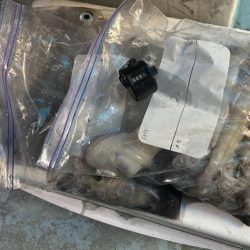 土砂降りで激渋の中竿頭ゲット!