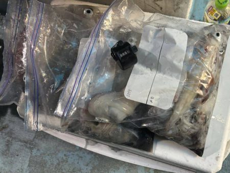 土砂降りで激渋の中竿頭ゲット!