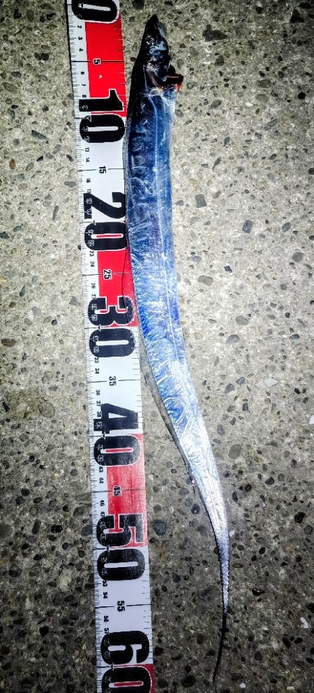 状況が変わってきた