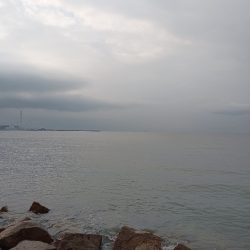 キス釣りなのに…。初めての外道。