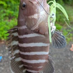 隠岐の島釣行初日