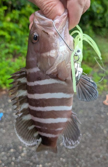 隠岐の島釣行初日
