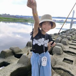 懲りずにテナガエビ