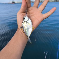 ちょい投げリベンジ