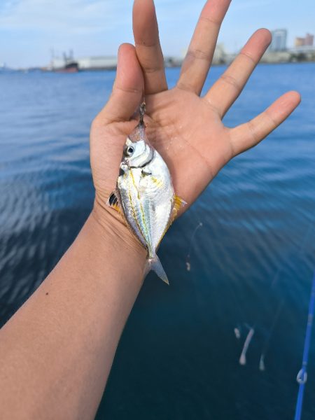 ちょい投げリベンジ