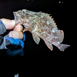 ちょっと涼しい？