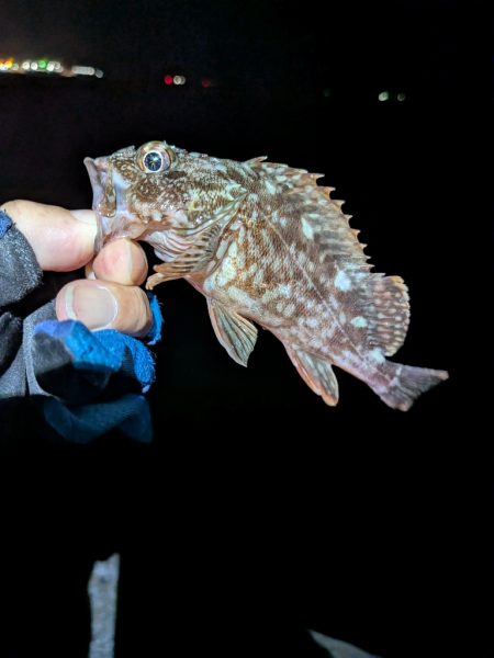 ちょっと涼しい？